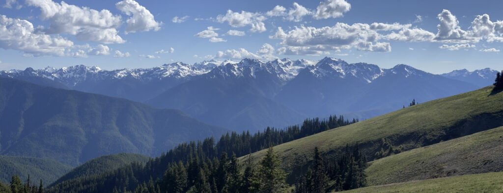 A panoramic view of the Olympic Mountains, with snow-capped peaks, rolling green hills, and dense forested valleys under a sky dotted with fluffy clouds.