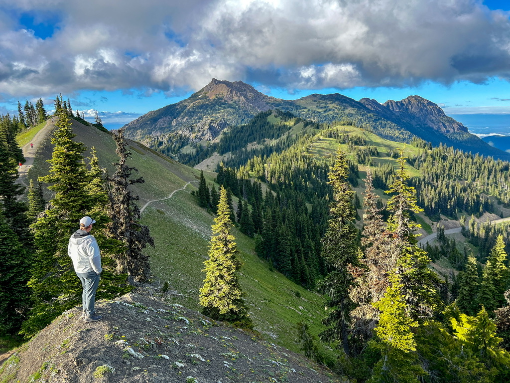 A man wearing a white hoodie and gray cap stands on a rocky outcrop overlooking a lush mountain landscape on Hurricane Ridge in Olympic National Park. The scene features rolling green hills, dense evergreen forests, and a winding trail, with dramatic clouds and blue skies creating a stunning backdrop.