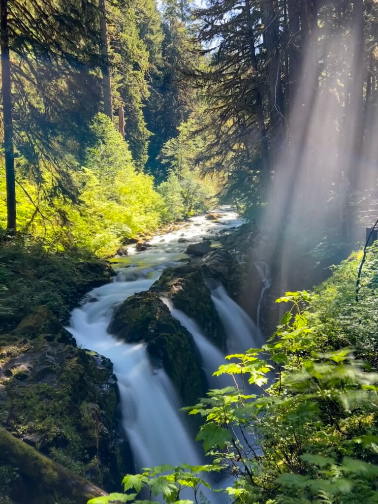 Sunlight streaming through the forest canopy onto the rushing Sol Duc Falls in Olympic National Park, surrounded by moss-covered rocks and lush greenery.