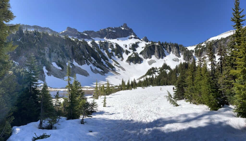 A panoramic view of a snowy alpine basin surrounded by rugged mountain peaks and scattered evergreen trees in Mount Rainier National Park.