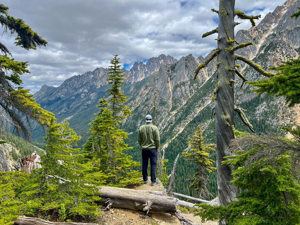 Man standing on a rocky outcrop surrounded by alpine trees, gazing out at a dramatic mountain valley in North Cascades National Park.