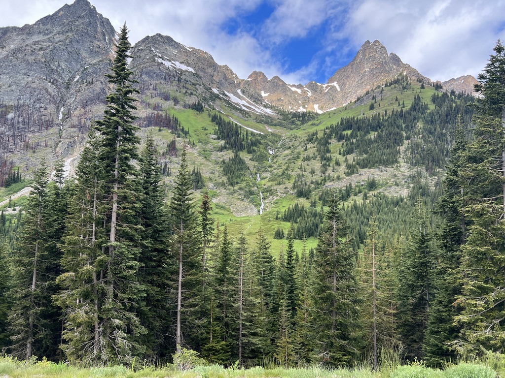 View of a lush green valley with a cascading waterfall, framed by tall evergreen trees and jagged mountain peaks under a partly cloudy sky in North Cascades National Park