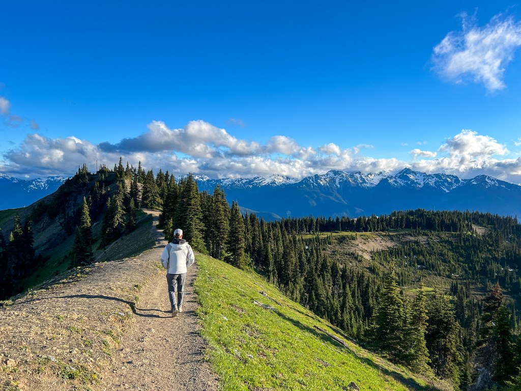 A person walking along a scenic trail on Hurricane Ridge, with vibrant green meadows and the snow-capped Olympic Mountains under a bright blue sky.