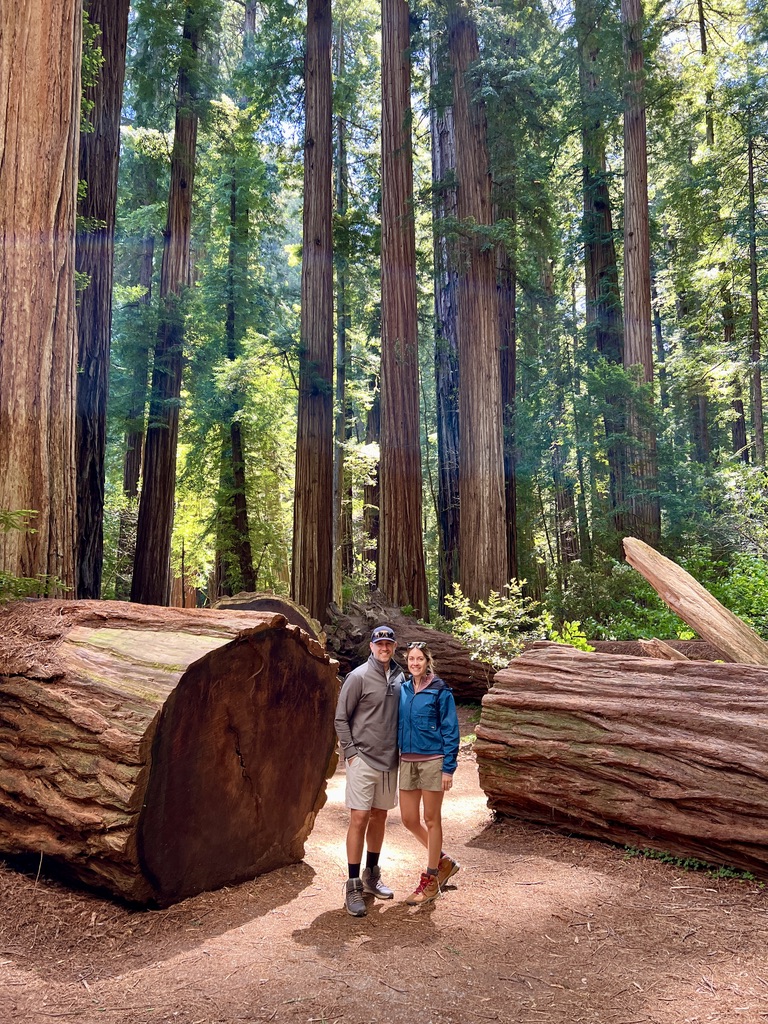 Two hikers standing amidst massive redwood trees and fallen logs in Stout Memorial Grove at Redwood National Park