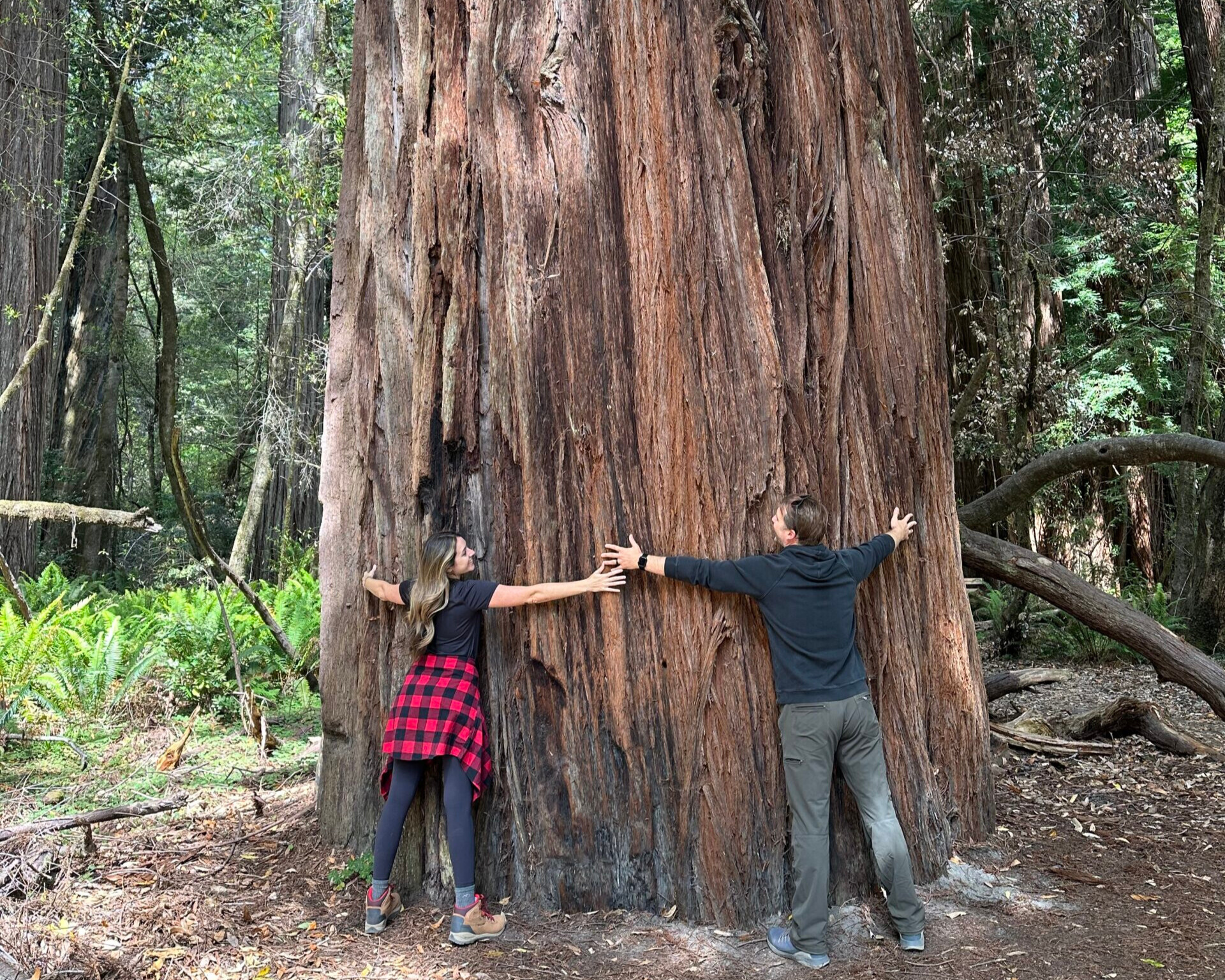 3 Days in the Redwoods: A Perfect PNW Adventure