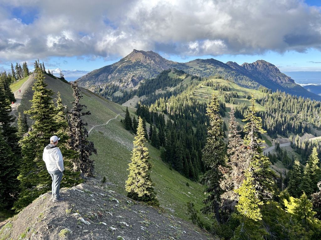 A hiker walking along a scenic ridge trail in Olympic National Park, surrounded by lush greenery with a backdrop of snow-capped mountains and a bright blue sky dotted with fluffy clouds.