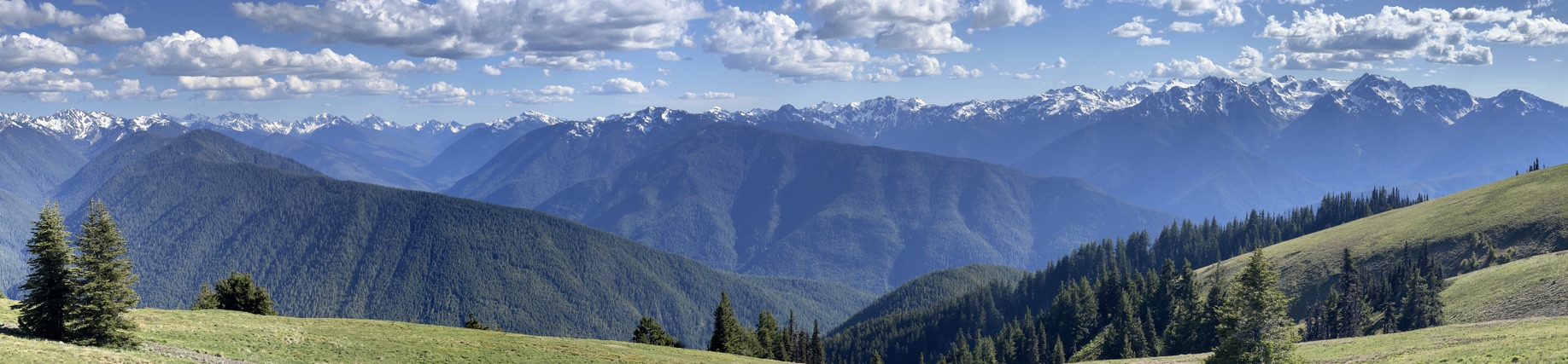 A panoramic view of the Olympic Mountain range, with dense evergreen forests in the foreground and dramatic, rugged peaks stretching across the horizon.